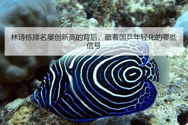 lin-shi-dong-pai-ming-lv-chuang-xin-gao-de-bei-hou-cang-zhe-guo-ping-nian-qing-hua-de-na-xie-xin-hao-2-210.jpg