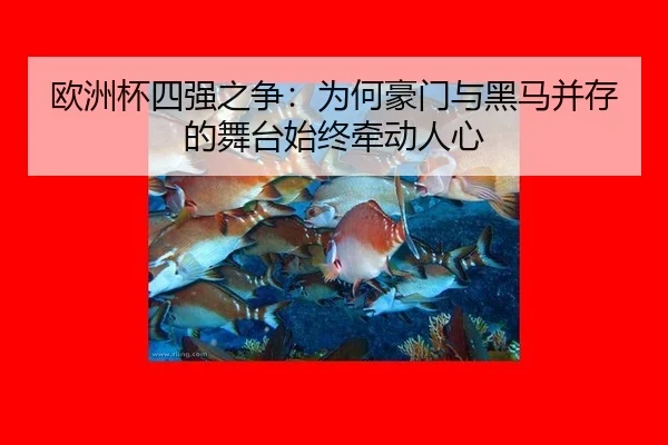 欧洲杯四强之争：为何豪门与黑马并存的舞台始终牵动人心